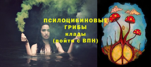 Альфа ПВП Коряжма