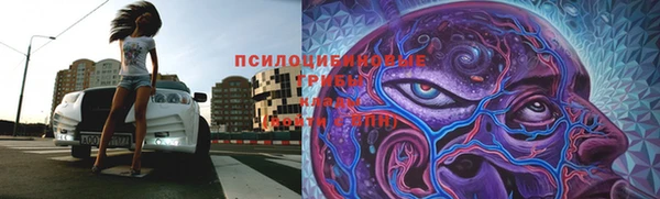 хмурый Костерёво