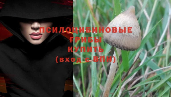 хмурый Костерёво