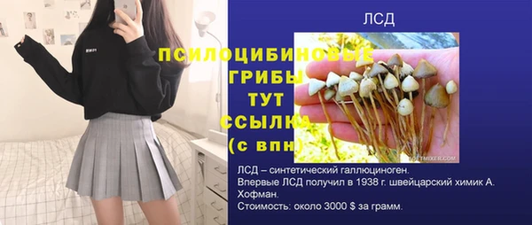 круглые Корсаков