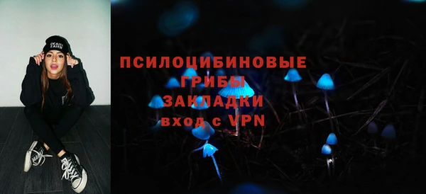 круглые Корсаков