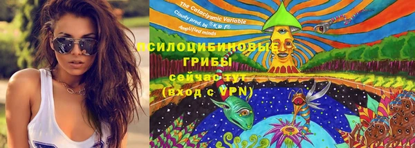 Альфа ПВП Коряжма