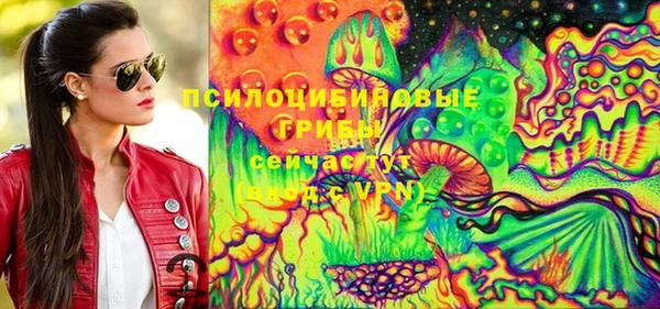 круглые Корсаков